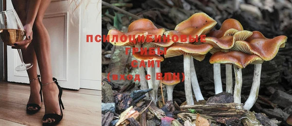 бутират Инта