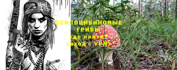 бошки Инсар
