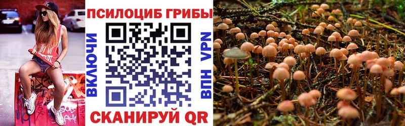 Псилоцибиновые грибы ЛСД  Купить  Рузаевка 